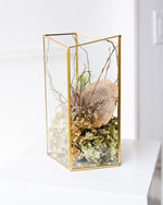Load image into Gallery viewer, Golden Air Plant Terrarium
