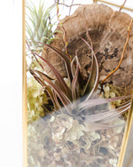 Load image into Gallery viewer, Golden Air Plant Terrarium
