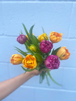 Load image into Gallery viewer, BI-WEEKLY SPRING SUBSCRIPTIONS
