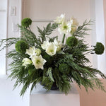 Load image into Gallery viewer, EVERGREEN &amp; ICE
