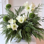 Load image into Gallery viewer, EVERGREEN &amp; ICE
