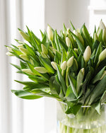 Load image into Gallery viewer, TULIPS IN A VASE
