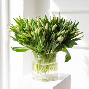 TULIPS IN A VASE